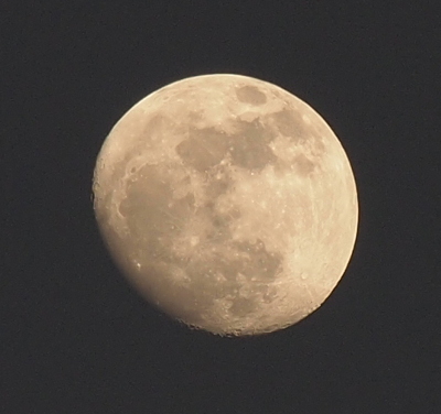 [The moon is 'missing' a sliver in the lower left, but is otherwise spherical. There are sections of light grey and dark grey across the sphere with obvious bumpy sections at the lowest edge. Just as the lines of a basketball lead to a center section or the portions of an orange meet at the top and bottom, there is a similar central point with at least five vallies leading to it in the lower right section of this view of the moon.]